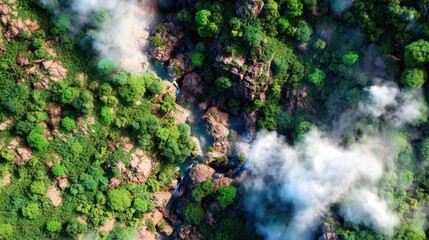 water flowing into the forest
