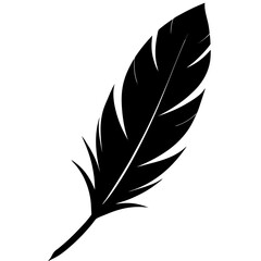 Obraz premium feather on white background