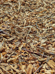 Natural Wood Chip Ground Cover