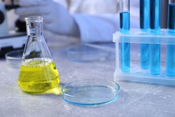Petri dish and flask with samples on table. Scientist working in laboratory, selective focus