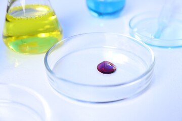 Petri dishes and flasks with samples on white background, closeup