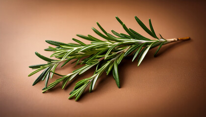 Obraz premium fresh green rosemary herb leaf isolated on brown background with soft natural lighting for culinary and aromatic use