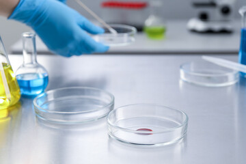 Scientist working in laboratory, focus on Petri dishes