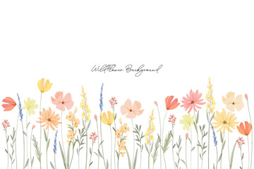 Wildflowers watercolor botanical background. Spring and summer Background watercolor arrangements with small flower. Botanical illustration minimal style.