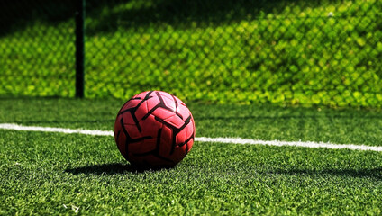 Soccer Ball on a green Grass On A Soccer Match