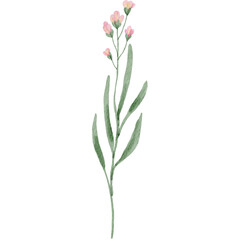 Watercolor Illustration of Pink Flower on Stem