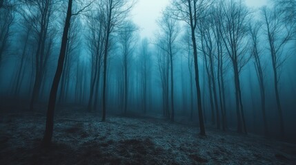 Fototapeta premium Enigmatic teal-toned forest landscape veiled in dense atmospheric mist