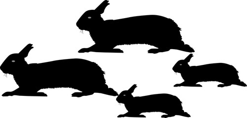 Silhouette Rabbit Animal Outline Vector Image