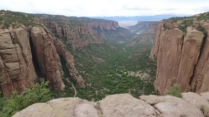 Fototapeta premium Lush Green Canyon with Steep Red Rock Walls