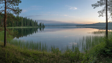 Obraz premium Morning Lake View with Pine Forest and Mountain Horizon