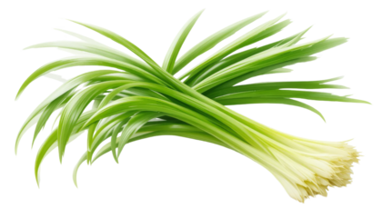 Chopping fresh green onions kitchen food photography culinary environment close-up view fresh ingredients for healthy cooking