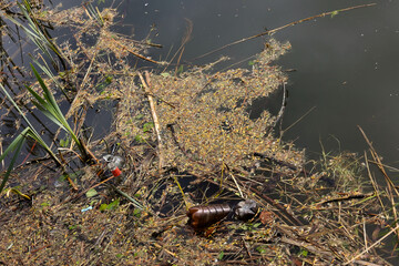 Plastic Bottles And Other Debris Polluting A Body Of Water, Entangled With Reeds, Algae And Fallen Leaves. Environmental Contamination Concept. Water Pollution.