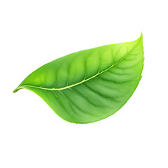 Fototapeta premium Vibrant Green Leaf Isolated on Transparent Background Perfect for Nature Designs and Eco-Friendly Branding