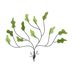 Cartoon-style underwater plants, corals, sponges, and sea life shapes