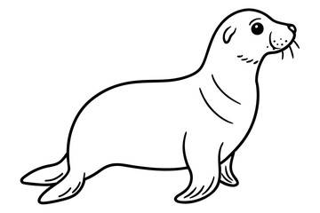 Modern Seal Illustration
