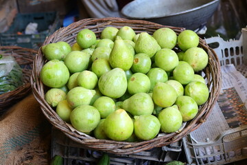 green Kadu in a basket
