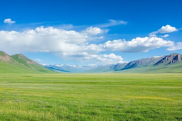 Obraz premium Expansive meadow landscape under a vast blue sky