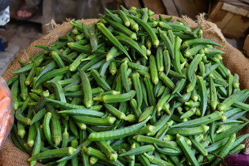 fresh green beans