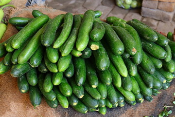 fresh green cucumber