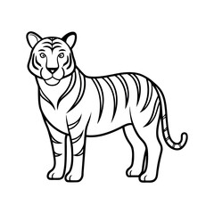 Tiger Gaze Wild Animal Line Art
