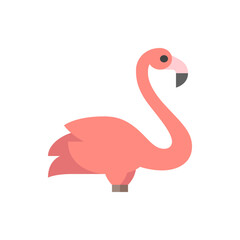 Illustration of a single flamingo with pink feathers and a long neck standing on a white background space