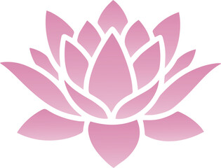 Pink Lotus Blossom - Symbol of Purity and Enlightenment