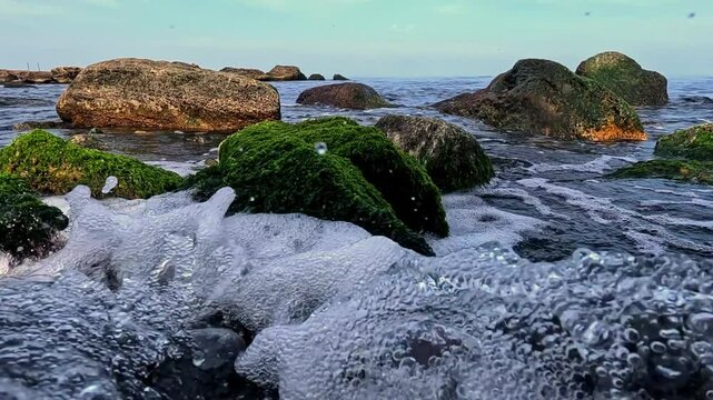 A stream of water with foam and air bubbles flows into the sea, washing stones with green algae Ulva or Enteromorpha, Black Sea, Ukraine