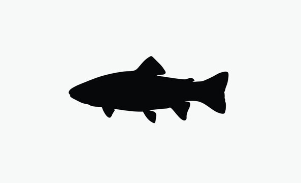 salmon trout silhouette, freshwater fish vector, bold fish outline, aquatic species shape, black white trout, clean fish profile, side view illustration