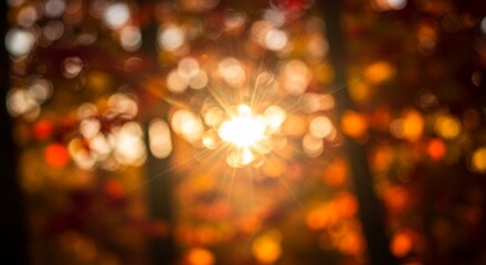 Radiant Autumn Sunset: Golden Light Through Vibrant Fall Foliage, Creating a Magical Bokeh Effect....