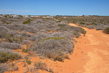 Hiking track from Little Lagoon to Denham, Western Australia, Australia
