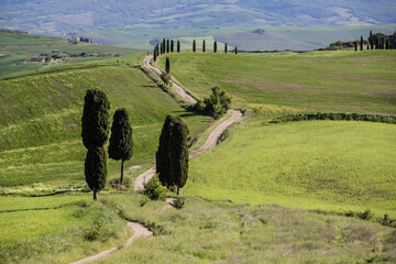 Val d'Orcia, Tuscany, during spring time with green fields.