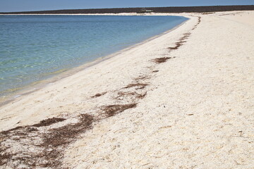 Shell Beach at Denham, Western Australia, Australia
