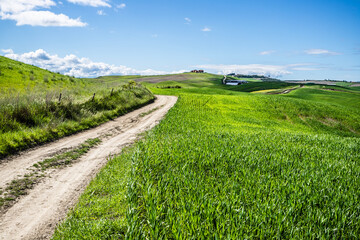 Val d'Orcia, Tuscany, during spring time with green fields.