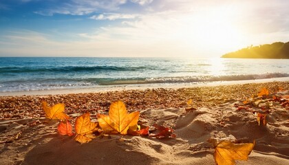 autumn leaves on beach