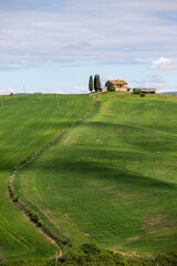 Val d'Orcia, Tuscany, during spring time with green fields.