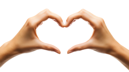 Heart Shape Hands Gesture Isolated White Background