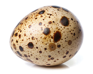 quail egg isolated on white background. quail egg with a speckled pattern