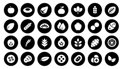 Colorful round ingredient icons for food packaging cooking blogs and restaurant websites