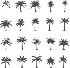 Obraz premium Set silhouettes of palm tree isolated on transparent background