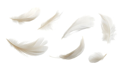Ethereal White Feathers Floating in the Air - Delicate Feather Isolated on Transparent Background