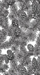 Elegant Botanical Line Art: Monochrome Pine Cones & Branches AI Generated