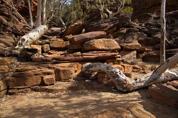 Hiking track to Murchison River in Kalbarri National Park, Western Australia, Australia
