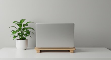 Minimalist mirror display