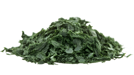 Vibrant Spirulina Algae Strands Isolated on Transparent Background