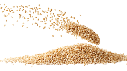 Sesame Seeds Falling Isolated on Transparent Background with Clipping Path