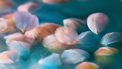 Silkmoth Scales Forming Miniature Floating Islands of Color in Midair