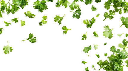 Falling Parsley Herb from Sky in Hyperpop Style for Creative Design Projects