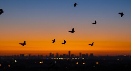 Fototapeta premium Silhouetted Butterflies Soaring at Sunset Over City Skyline