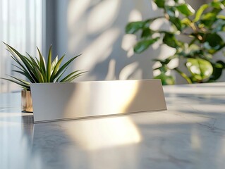 Blank Desk Nameplate