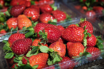 Fresh Ripe Strawberries Close-Up - A vibrant close-up shot of freshly picked ripe strawberries